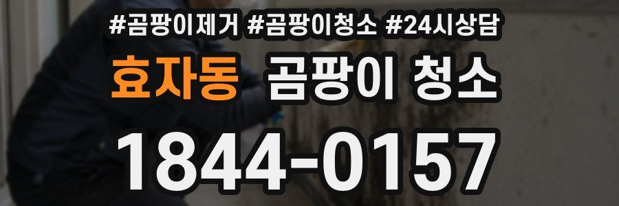 효자동 곰팡이 청소