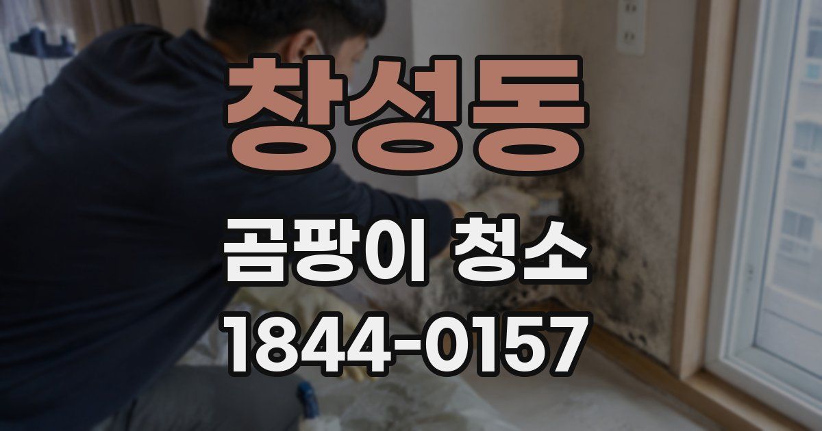 창성동 곰팡이 청소