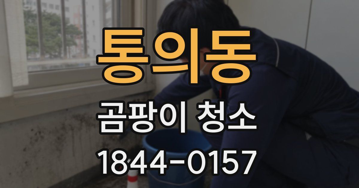 통의동 곰팡이 청소