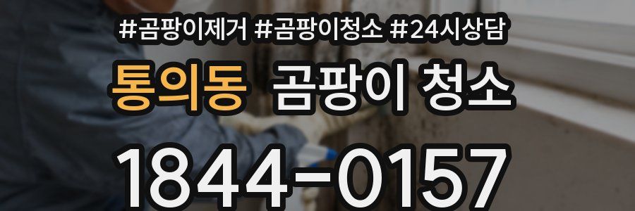 통의동 곰팡이 청소