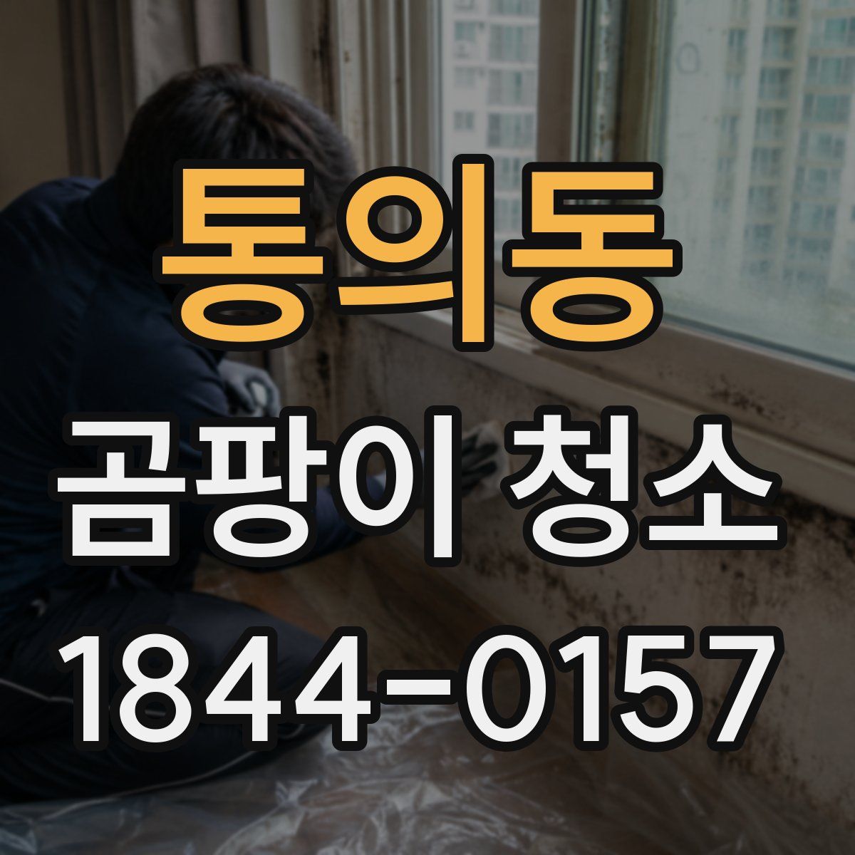 통의동 곰팡이 청소