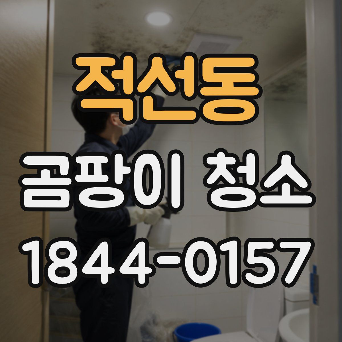 적선동 곰팡이 청소
