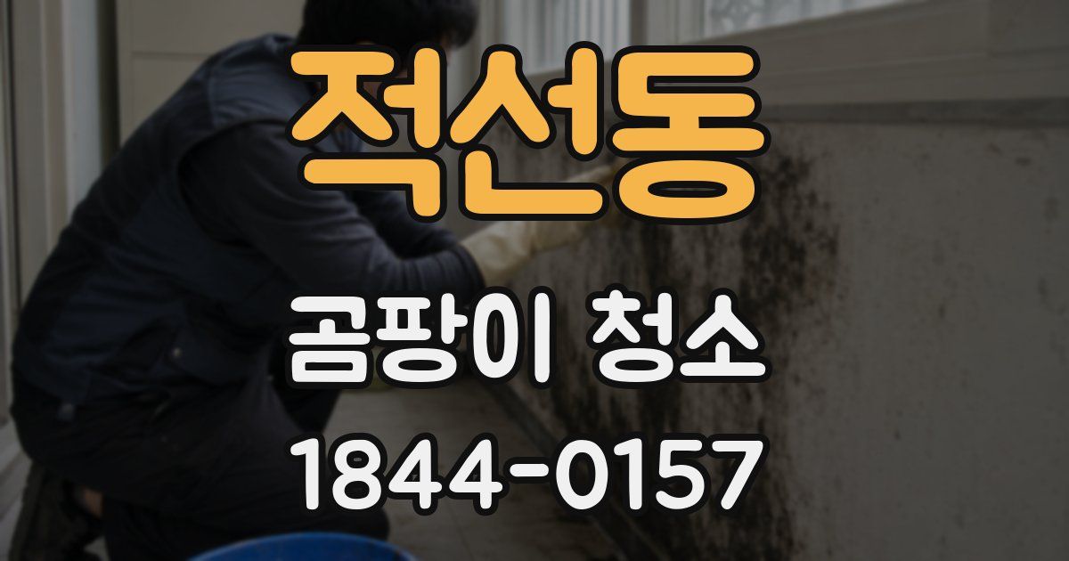 적선동 곰팡이 청소