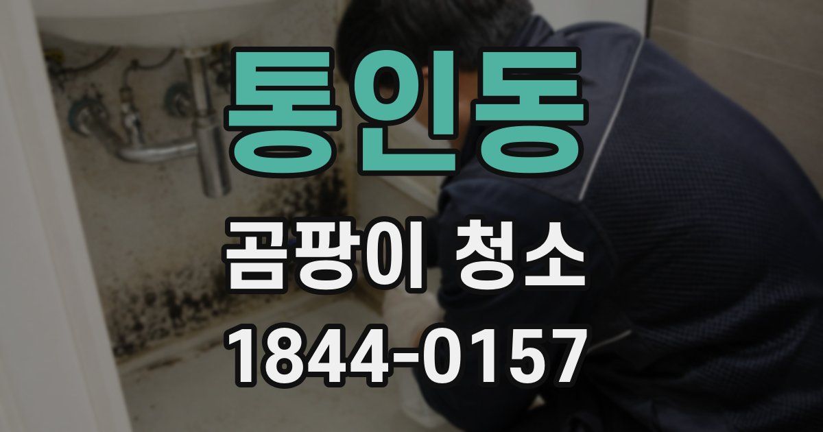 통인동 곰팡이 청소