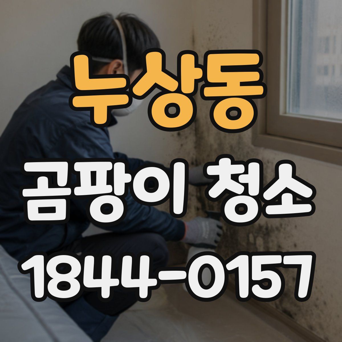 누상동 곰팡이 청소