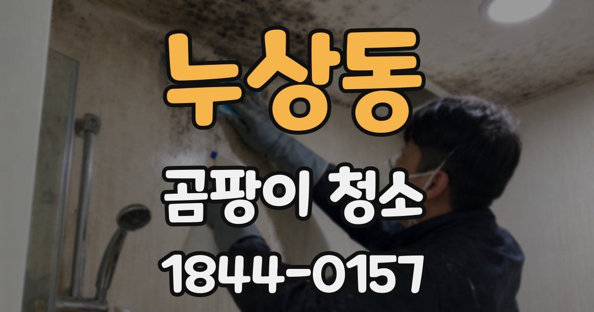 누상동 곰팡이 청소