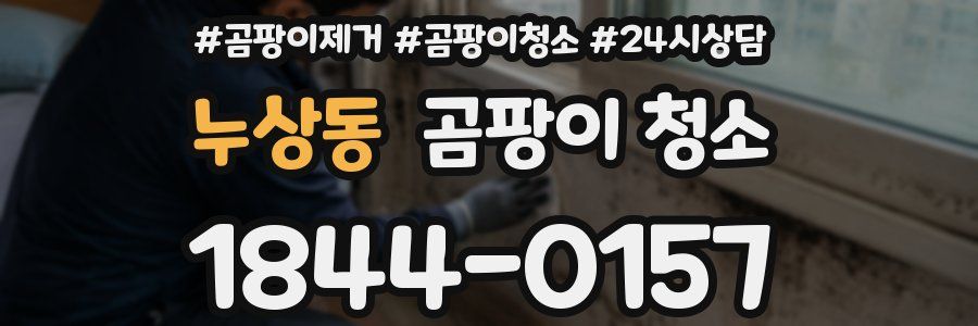 누상동 곰팡이 청소