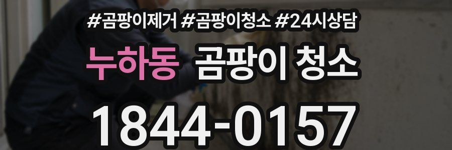 누하동 곰팡이 청소