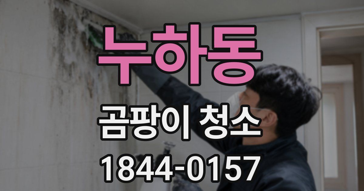 누하동 곰팡이 청소