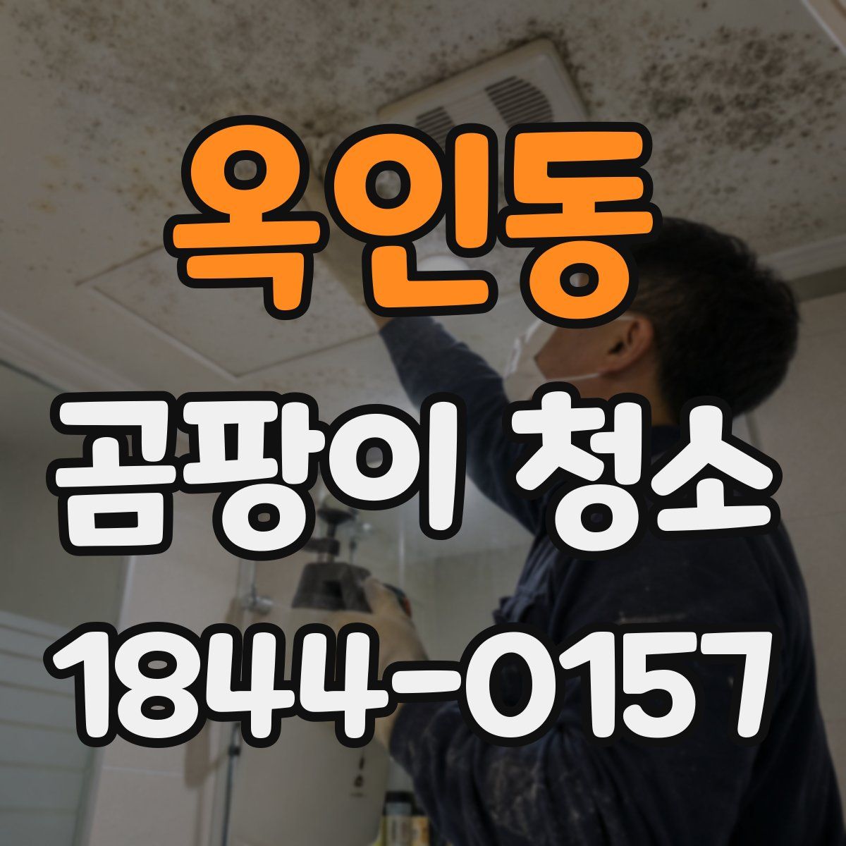 옥인동 곰팡이 청소