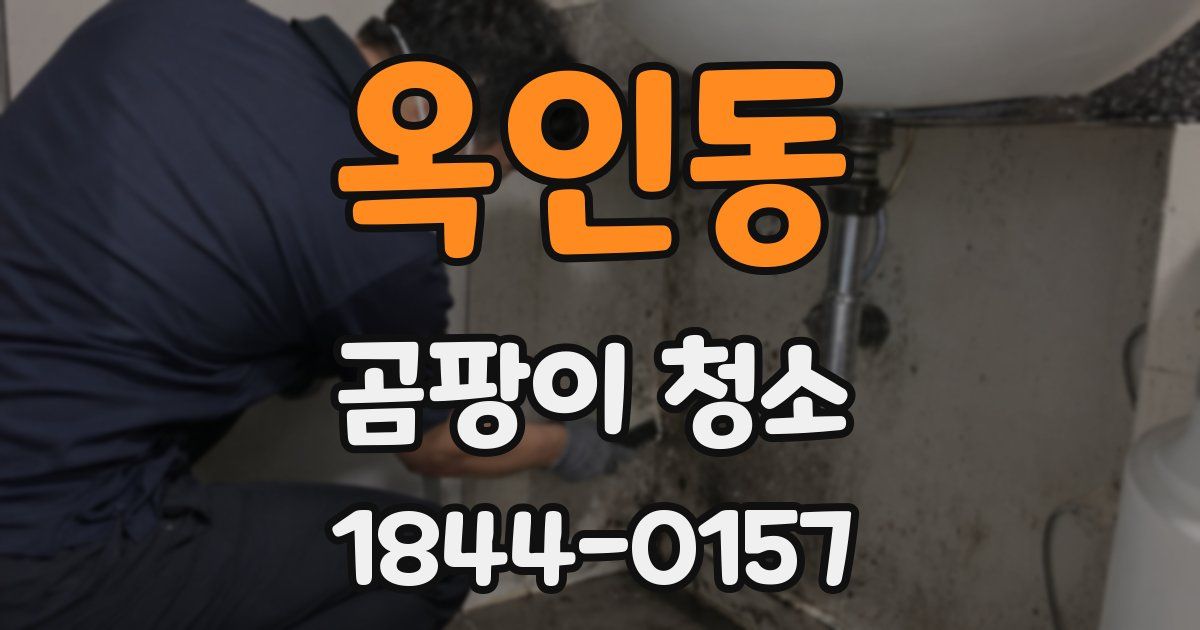 옥인동 곰팡이 청소