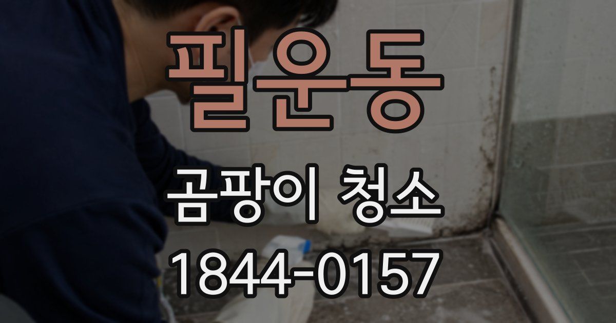 필운동 곰팡이 청소
