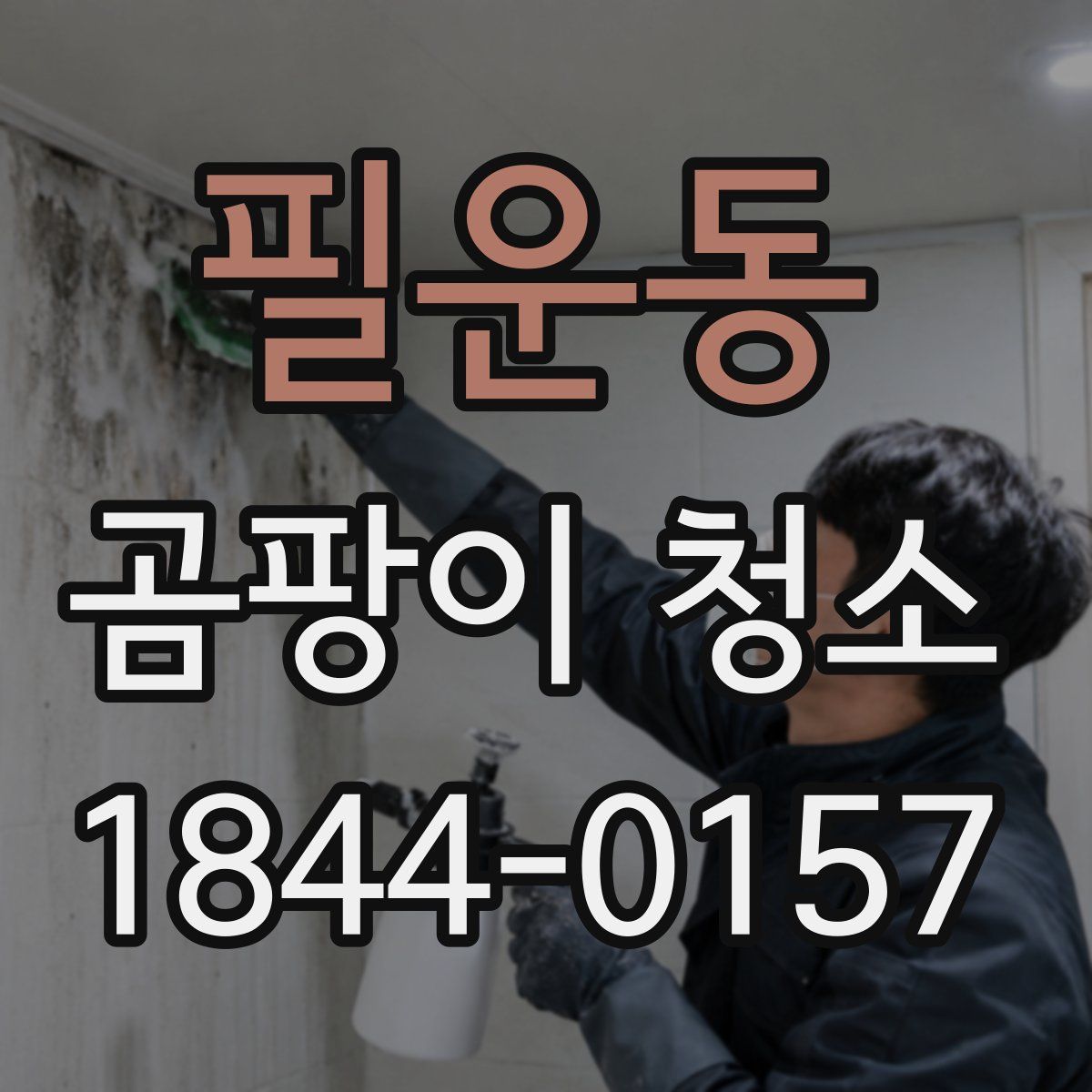 필운동 곰팡이 청소