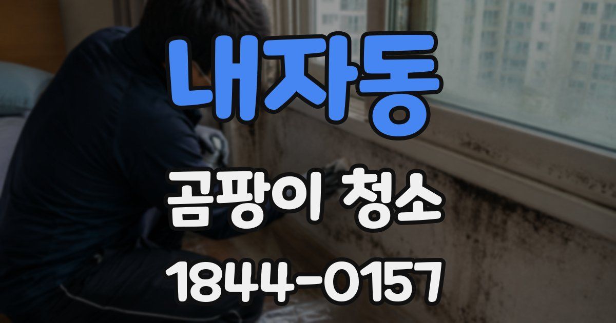내자동 곰팡이 청소