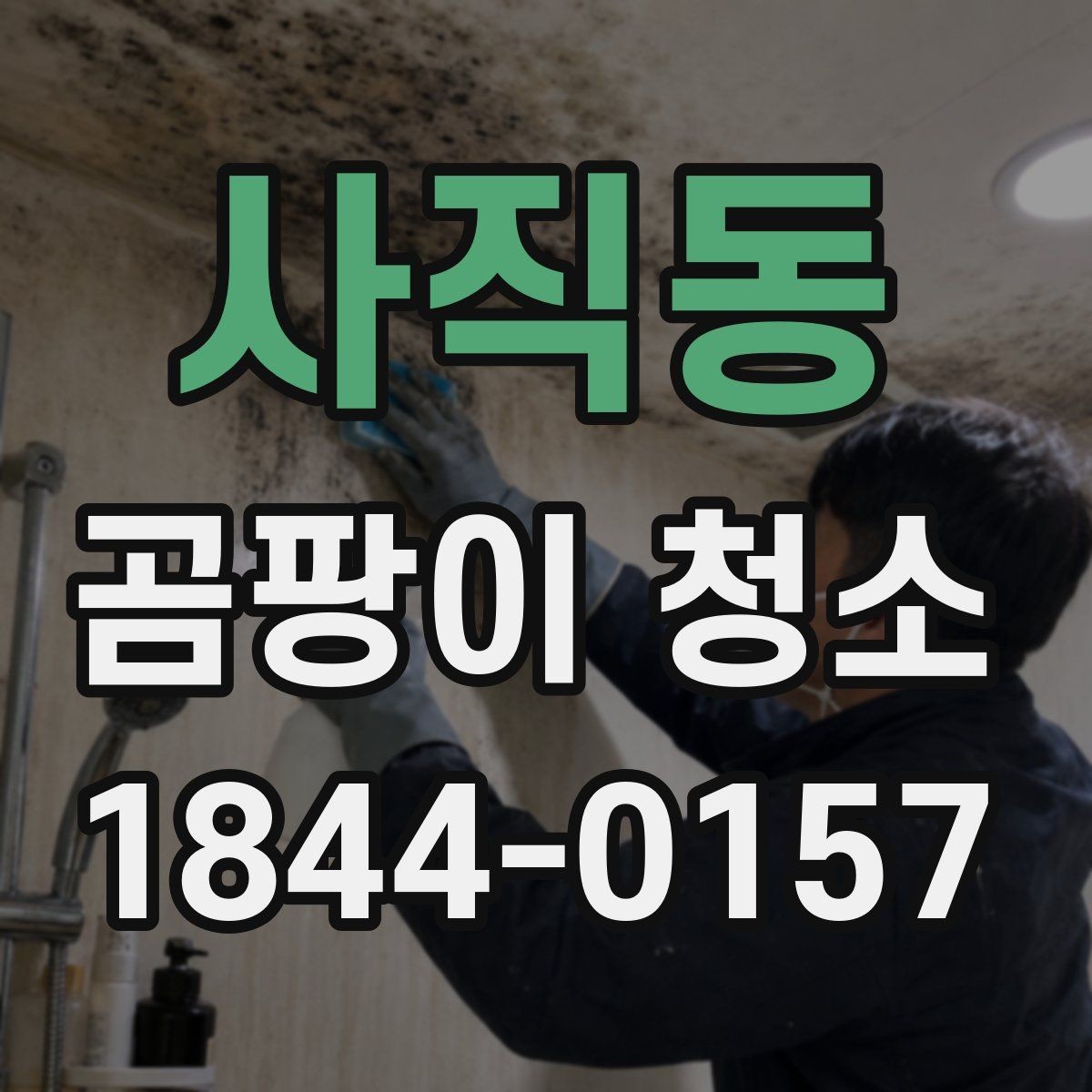 사직동 곰팡이 청소 실내 습도와 건조 상태를 함께 관리하는 방법