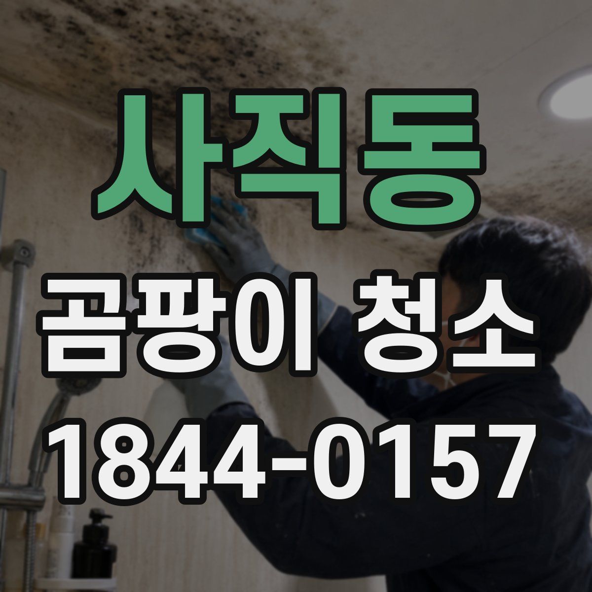 사직동 곰팡이 청소