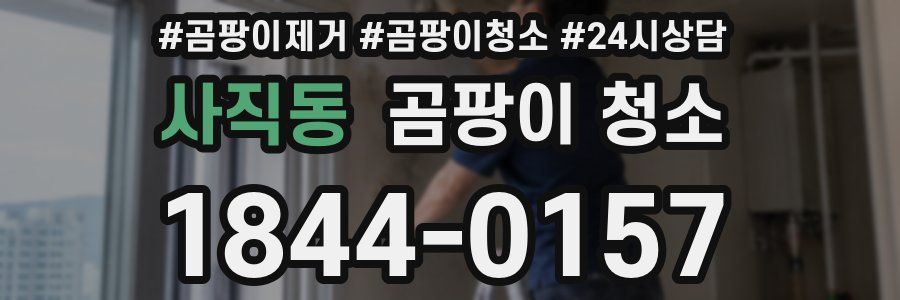 사직동 곰팡이 청소