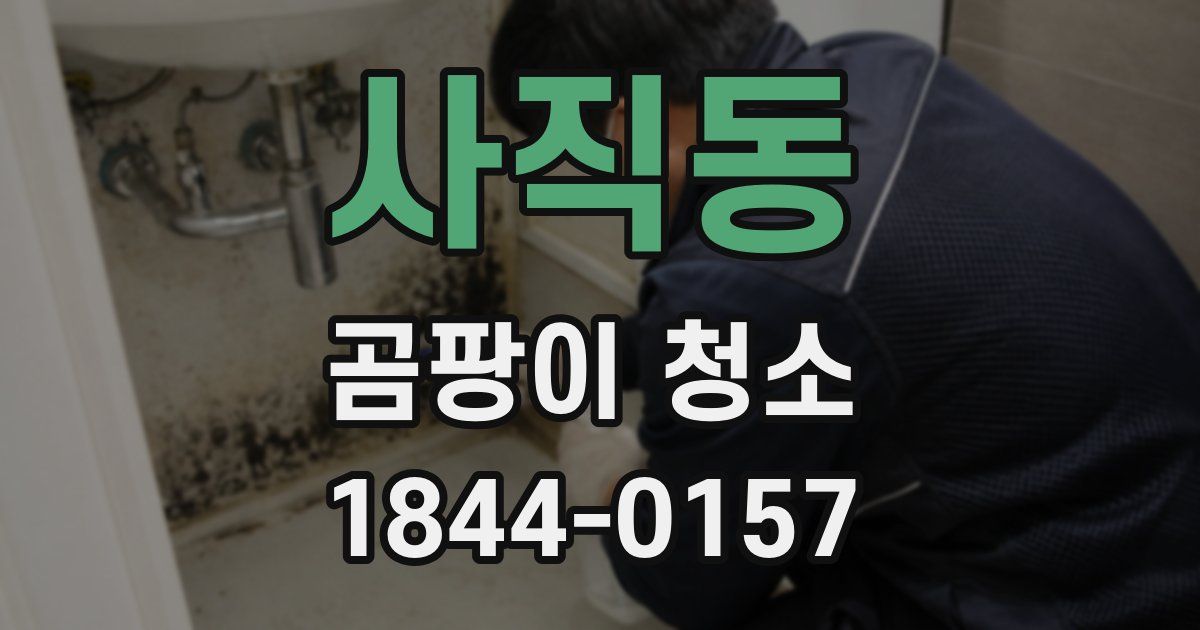 사직동 곰팡이 청소