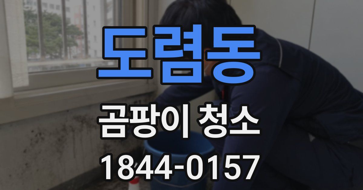 도렴동 곰팡이 청소
