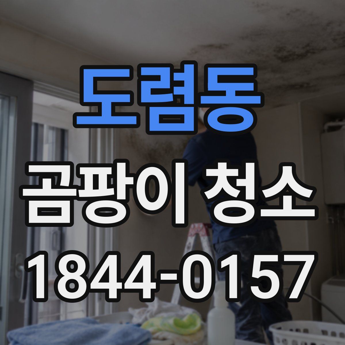 도렴동 곰팡이 청소