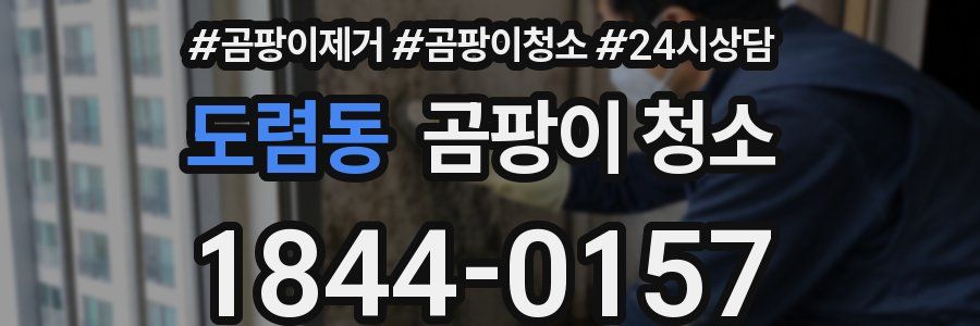 도렴동 곰팡이 청소