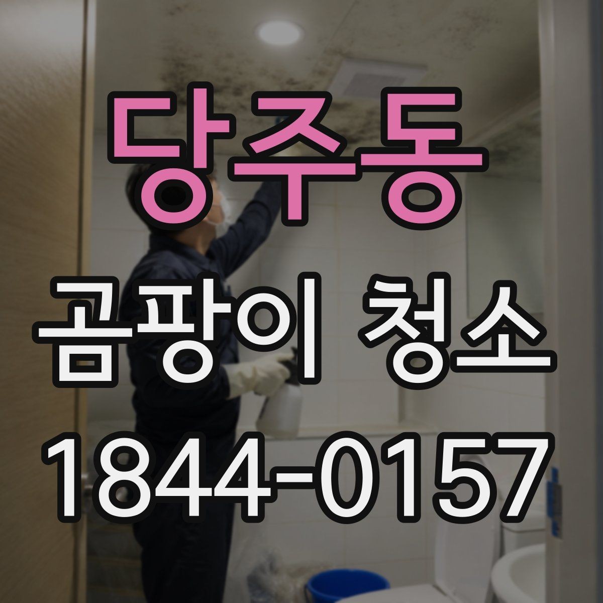 당주동 곰팡이 청소 옷장 내부 오염을 정리할 때 볼 점
