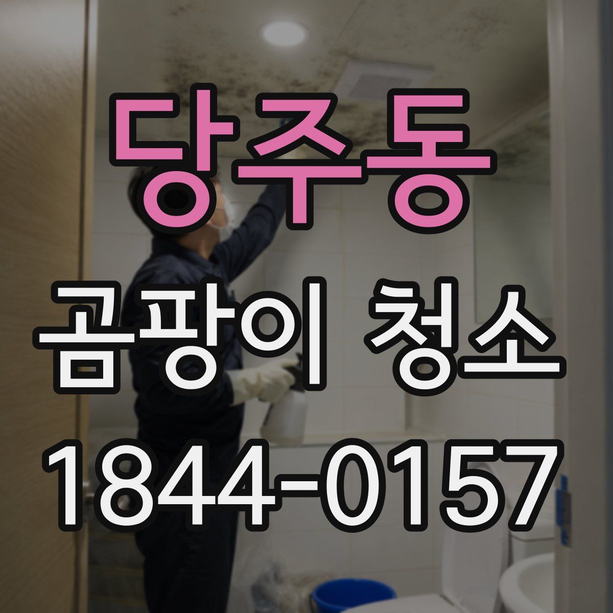 당주동 곰팡이 청소