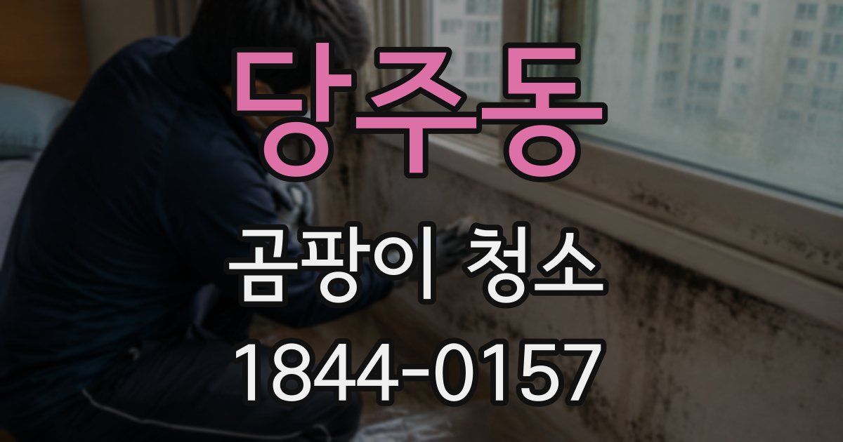당주동 곰팡이 청소