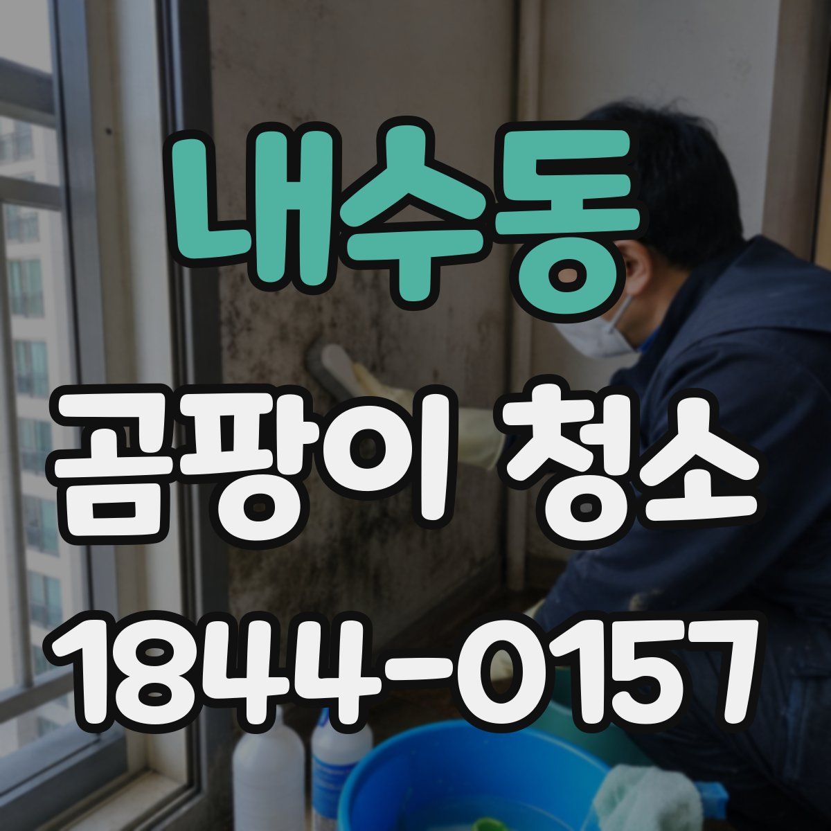 내수동 곰팡이 청소