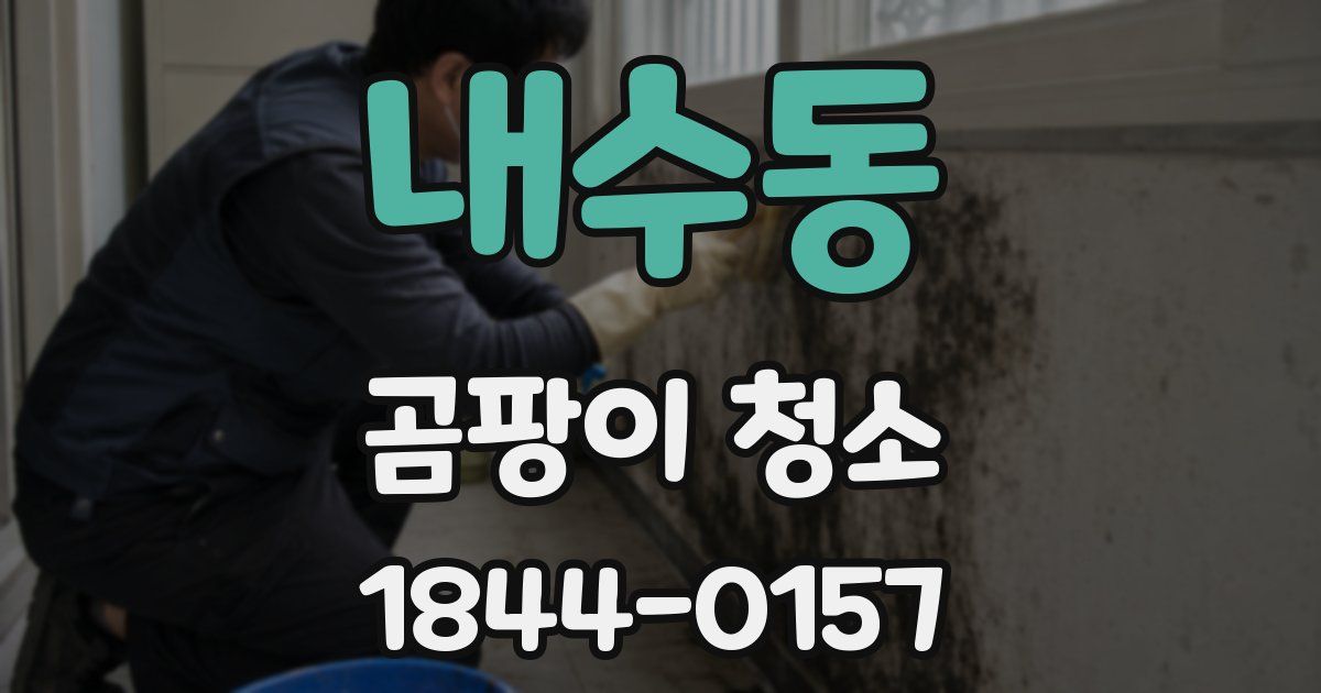 내수동 곰팡이 청소