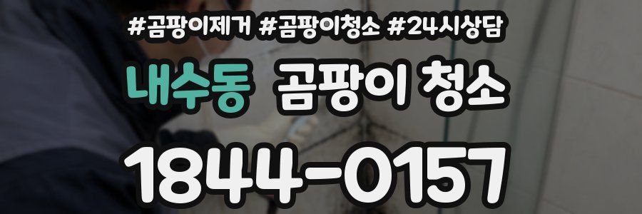 내수동 곰팡이 청소