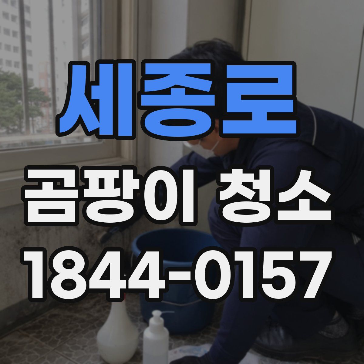 세종로 곰팡이 청소