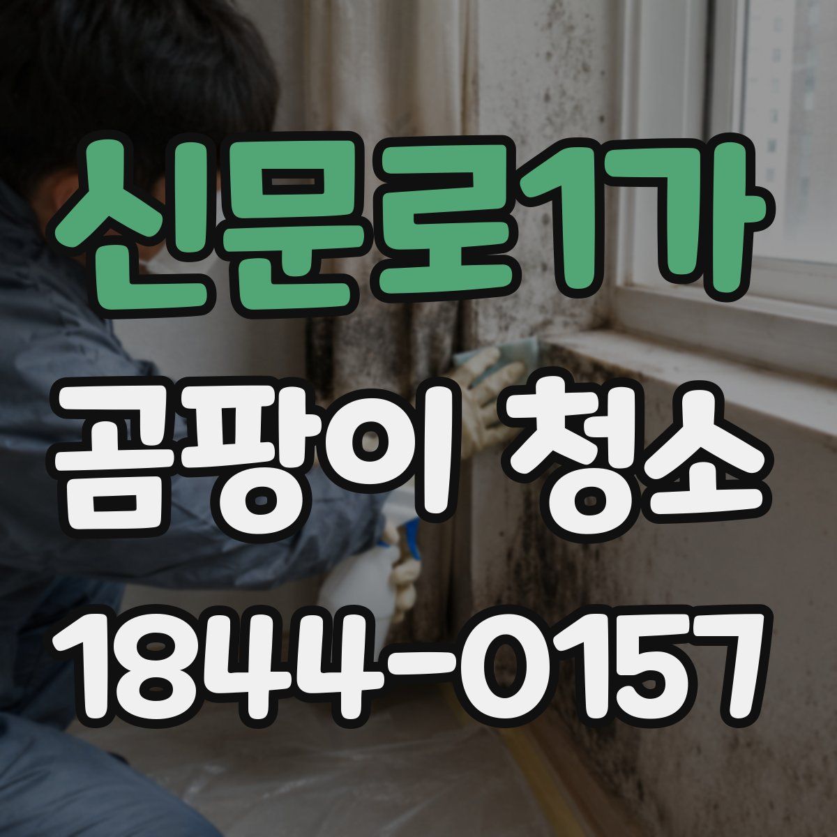 신문로1가 곰팡이 청소