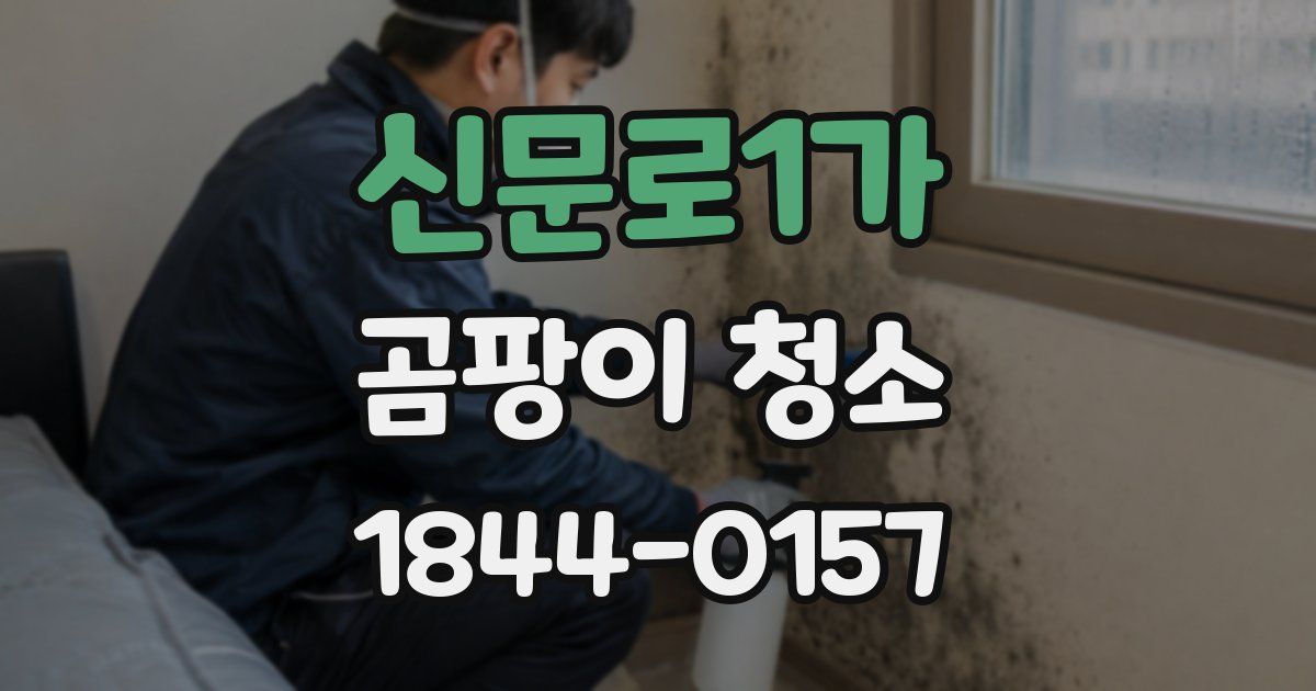 신문로1가 곰팡이 청소