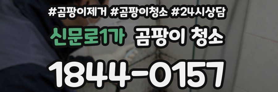 신문로1가 곰팡이 청소
