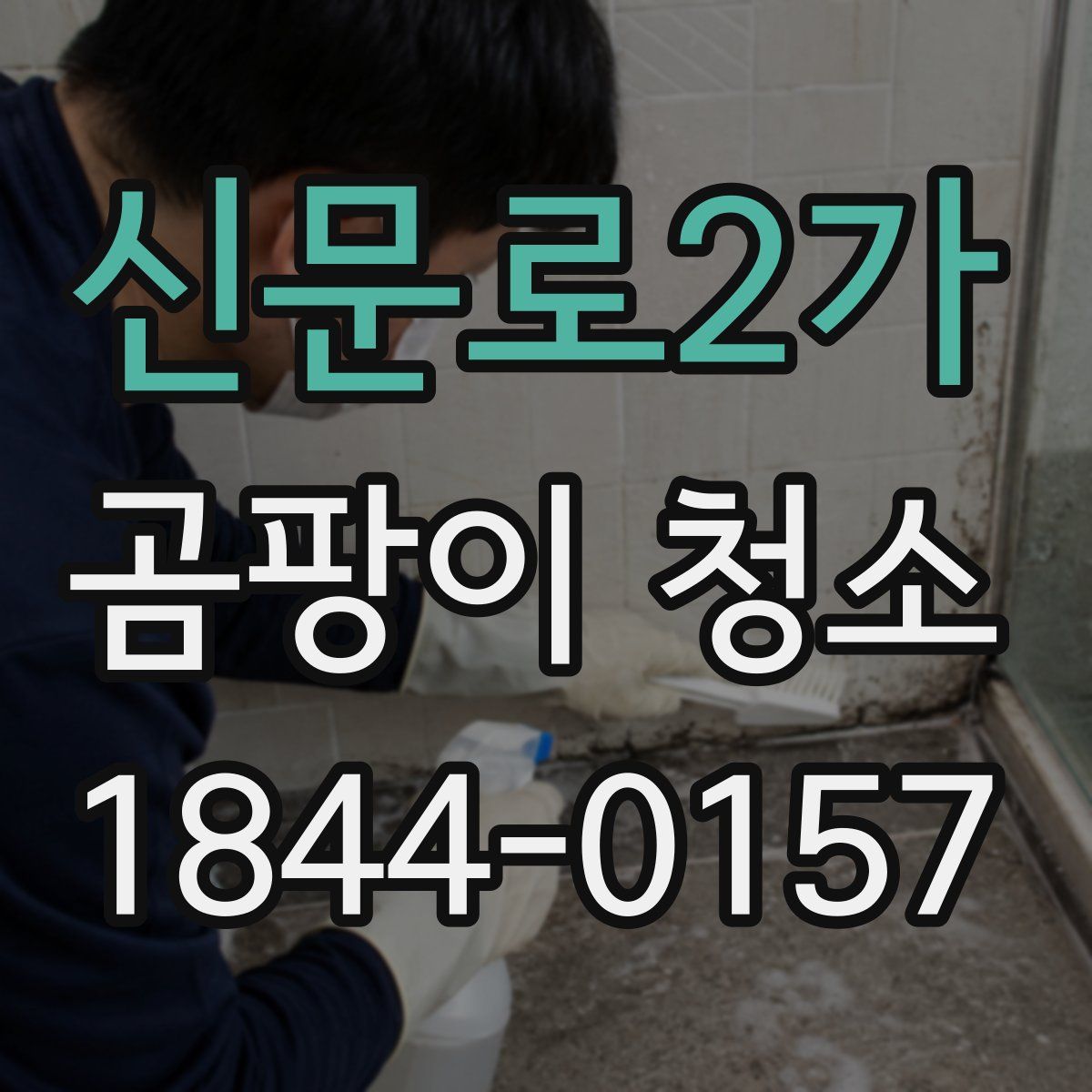 신문로2가 곰팡이 청소