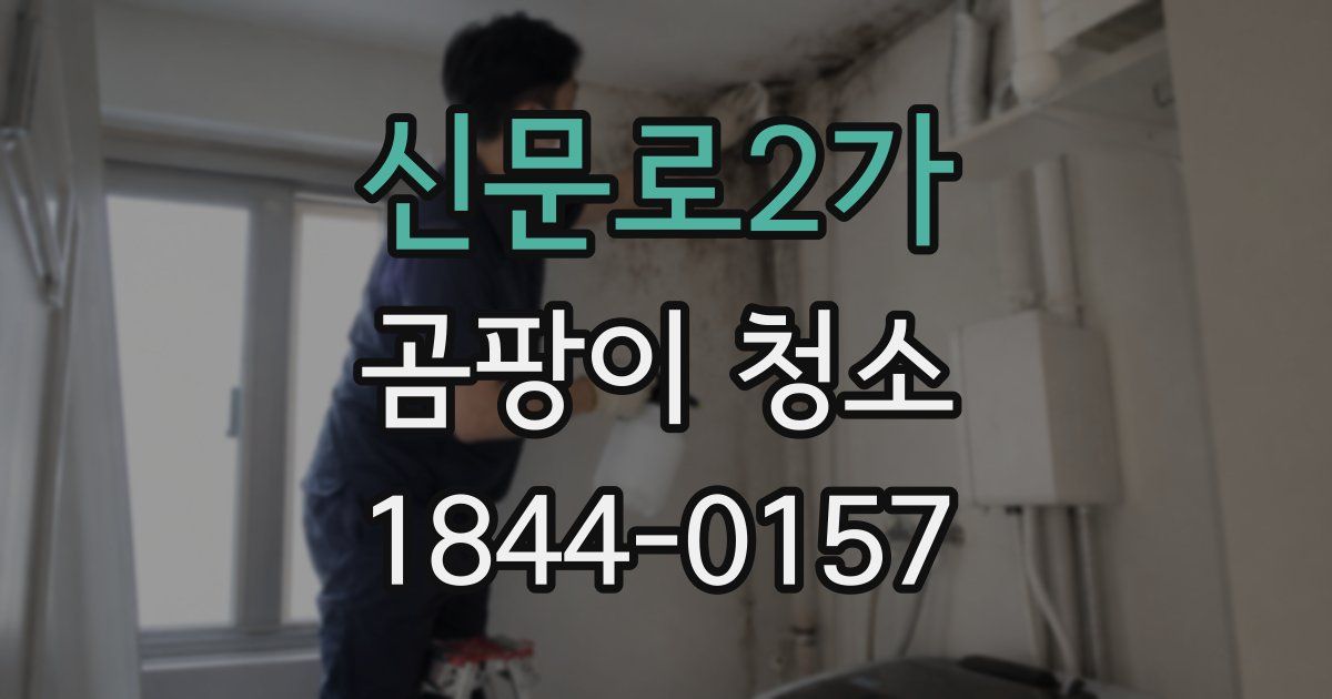 신문로2가 곰팡이 청소