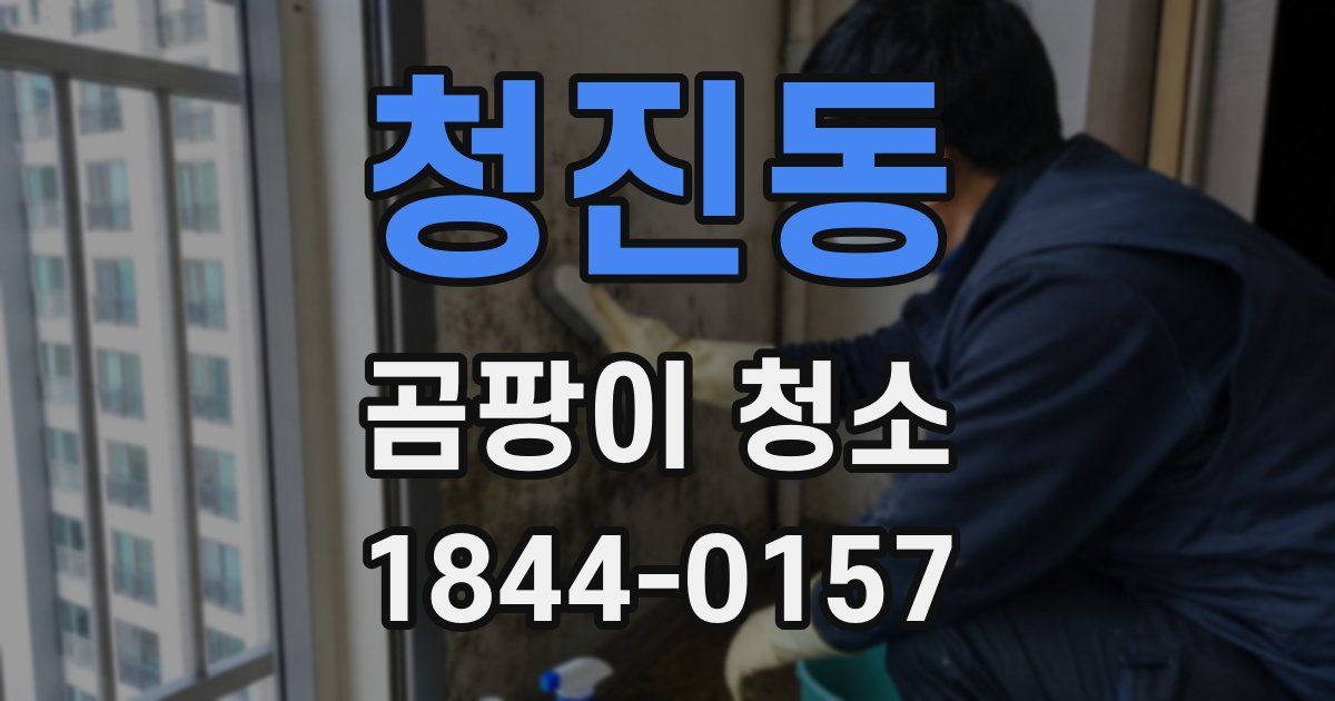 청진동 곰팡이 청소