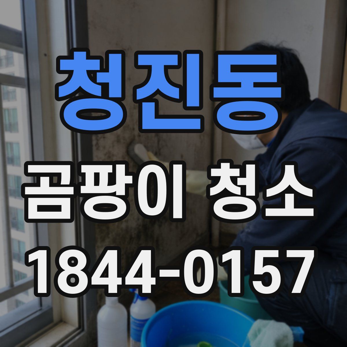 청진동 곰팡이 청소