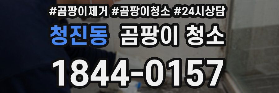 청진동 곰팡이 청소