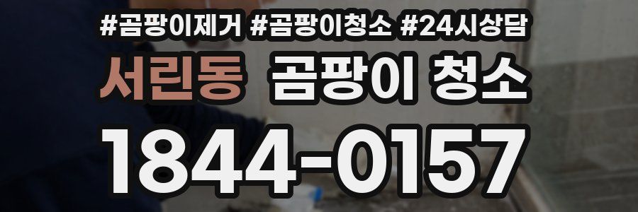 서린동 곰팡이 청소