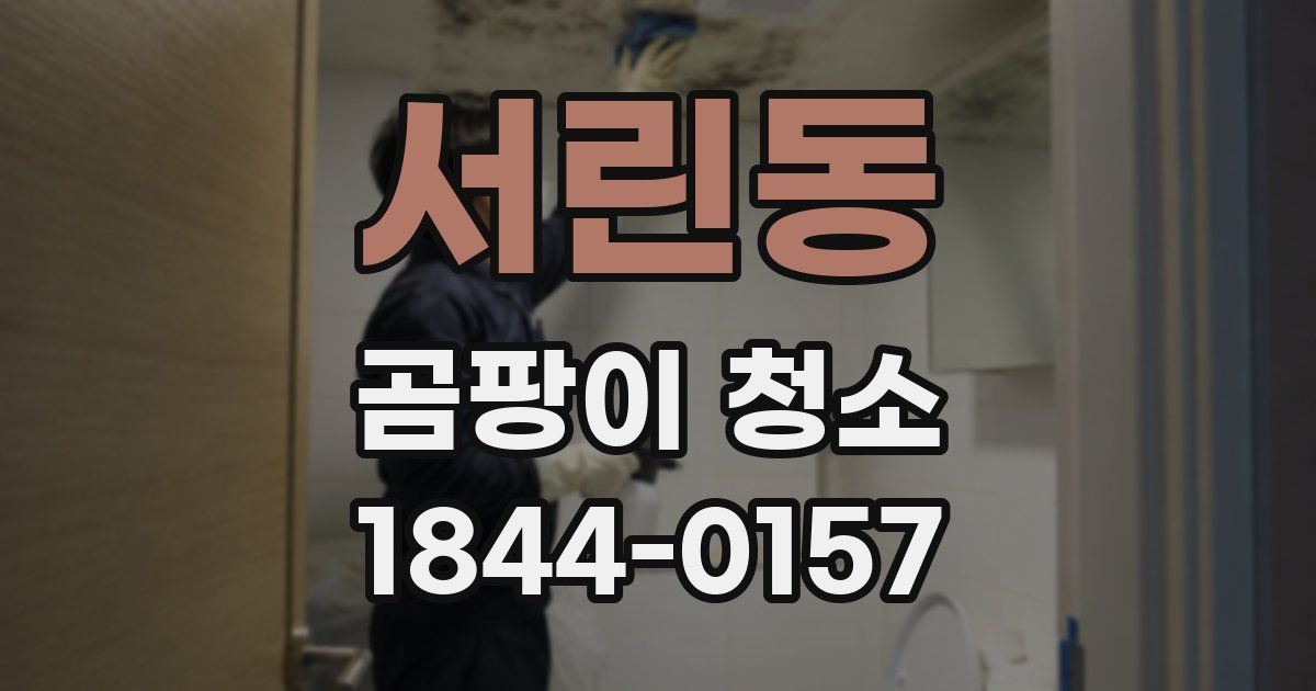 서린동 곰팡이 청소