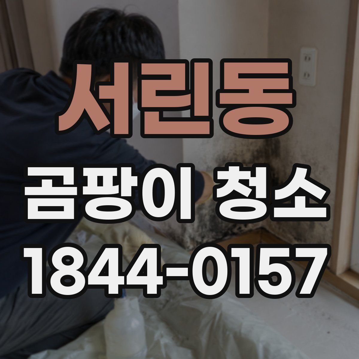 서린동 곰팡이 청소