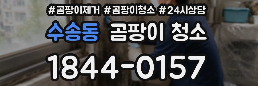 수송동 곰팡이 청소