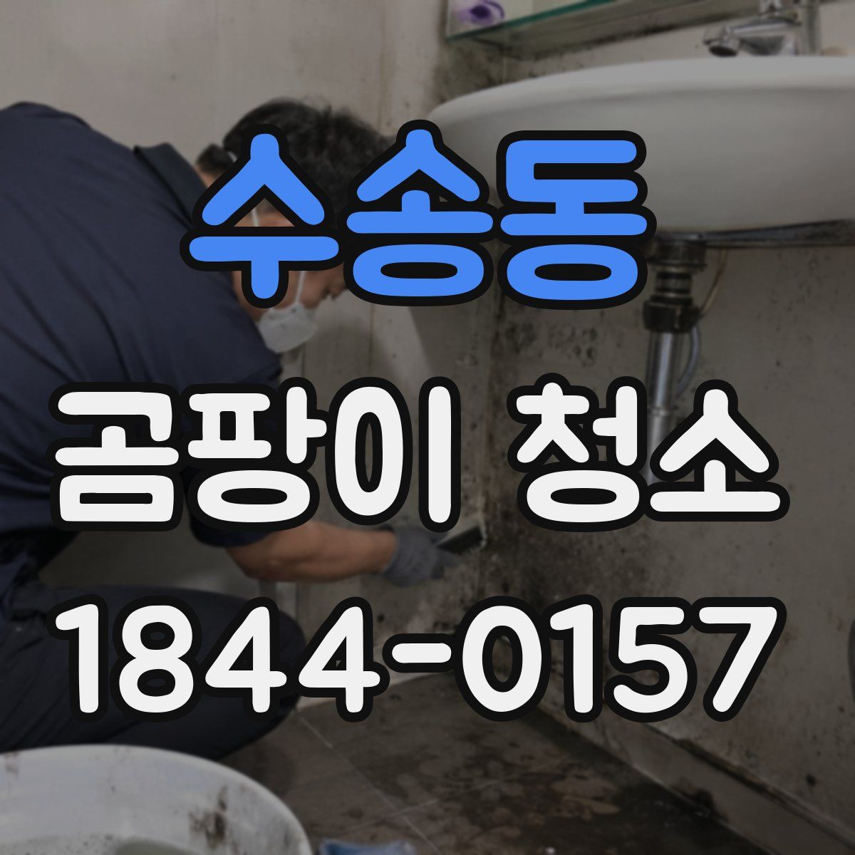 수송동 곰팡이 청소