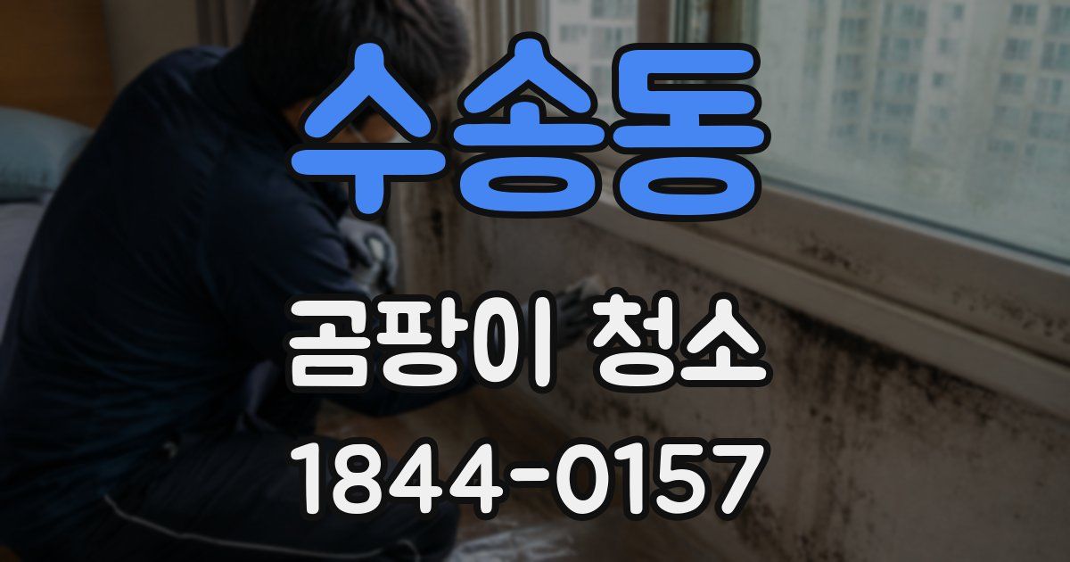 수송동 곰팡이 청소