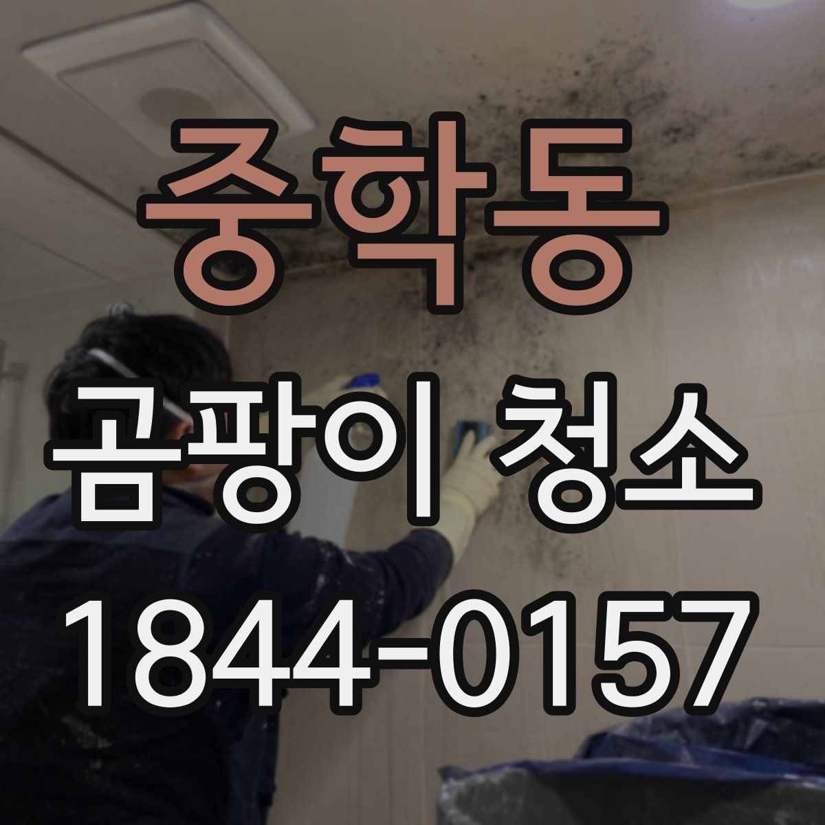 중학동 곰팡이 청소