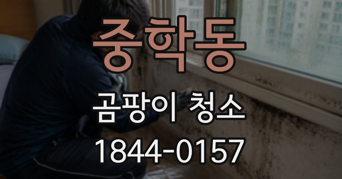 중학동 곰팡이 청소
