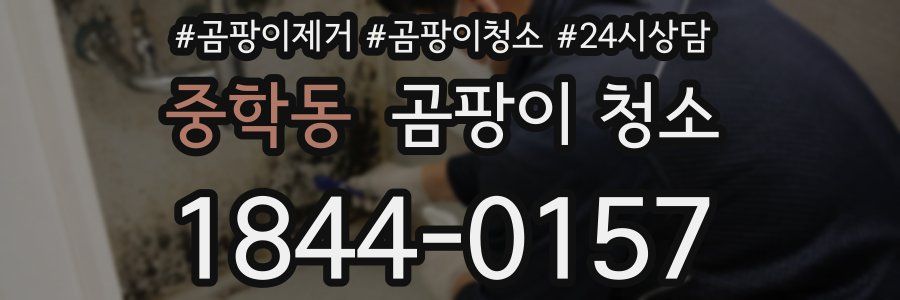 중학동 곰팡이 청소