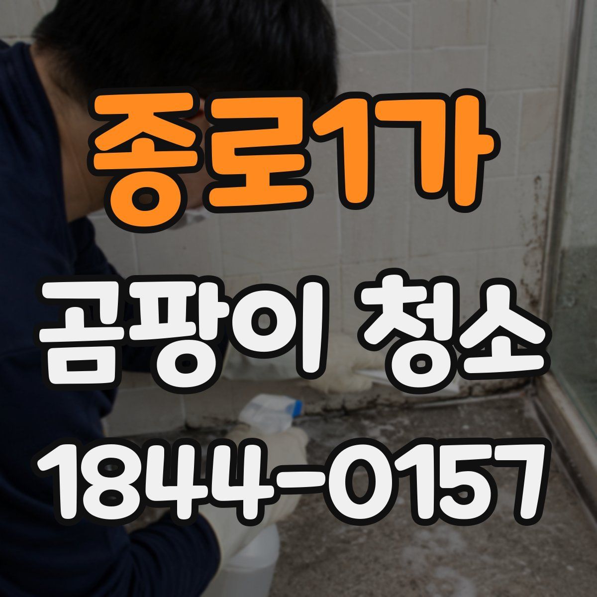 종로1가 곰팡이 청소